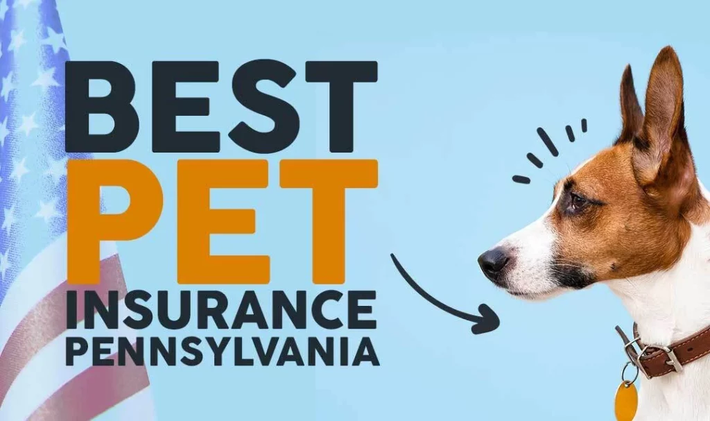 How to Find the Best Pet Insurance best pet insurance